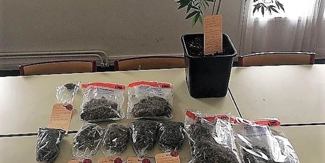 Eure : interpellé par les gendarmes, le quadragénaire cultivait le cannabis à son domicile
