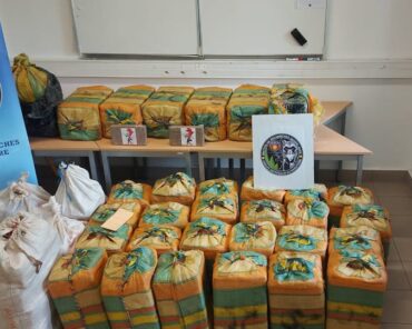 Les produits stupéfiants saisis ont été placés sous scellés par les gendarmes de Guadeloupe dont ceux de la Section de recherches de Fort-de-France. (Photo: Gendarmerie)